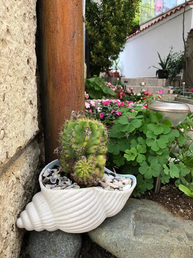 Sarievi Holiday Home Carevo Exterior foto